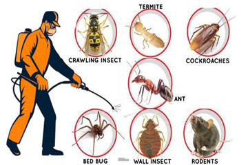 pest-control-management